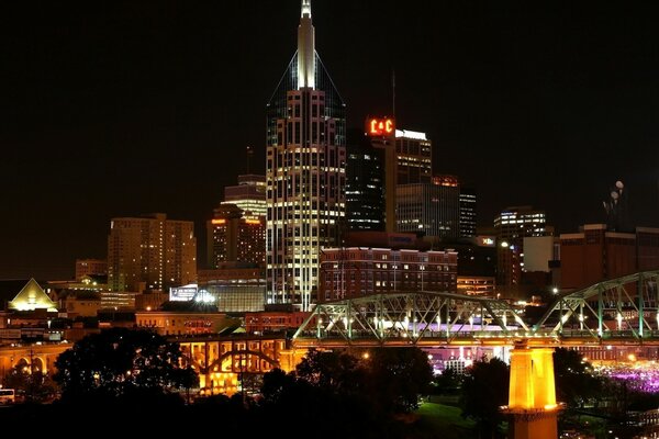 Evening bridge on the background of a city in the USA