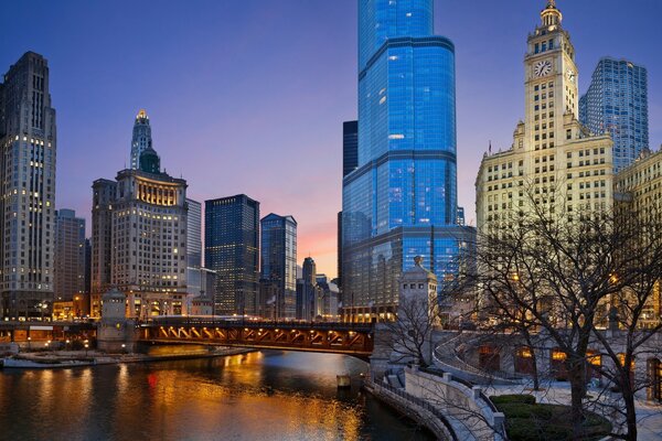 Blick auf den Chicago Park in der Winternacht