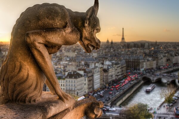 Notre-Dame de Paris scultura di gargoyle