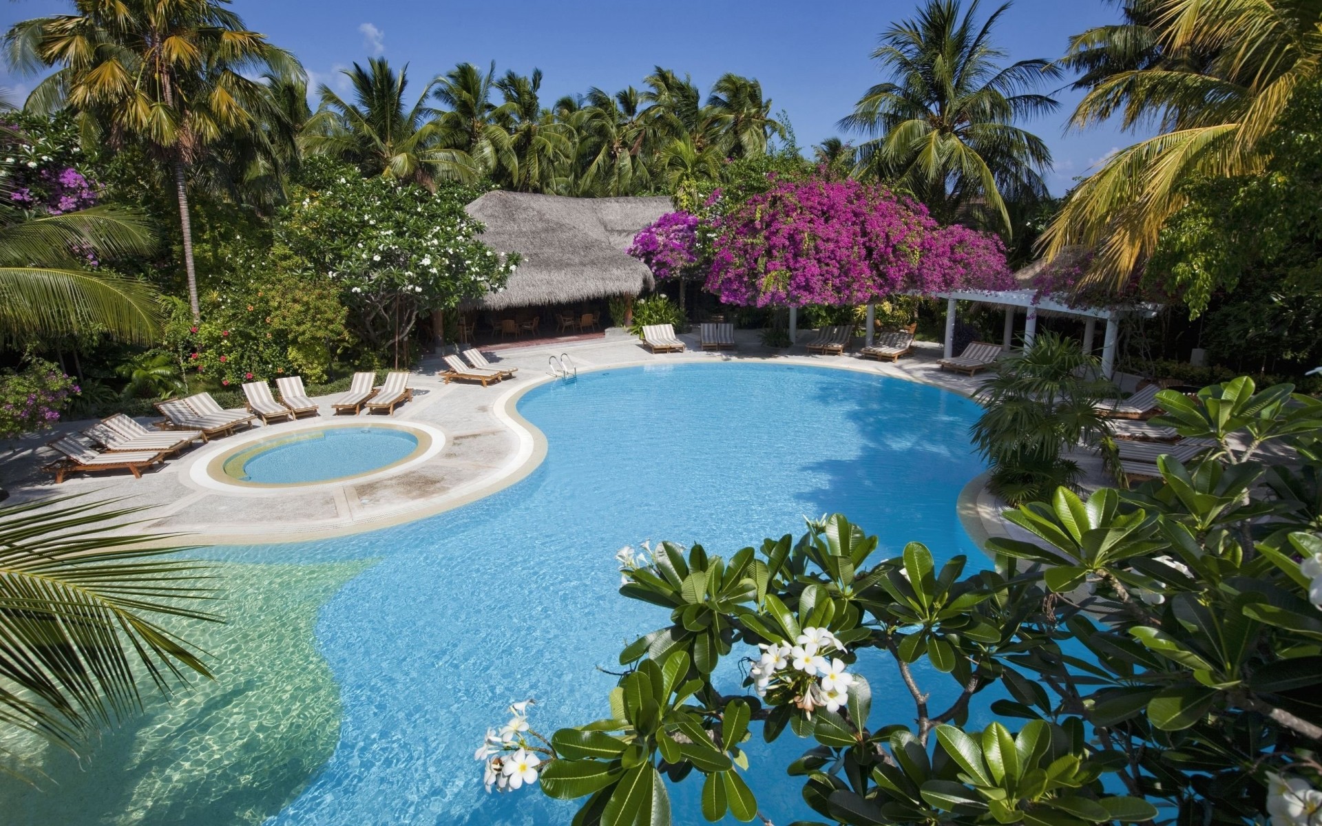 piscine palmiers vacances ciel paradis loisirs