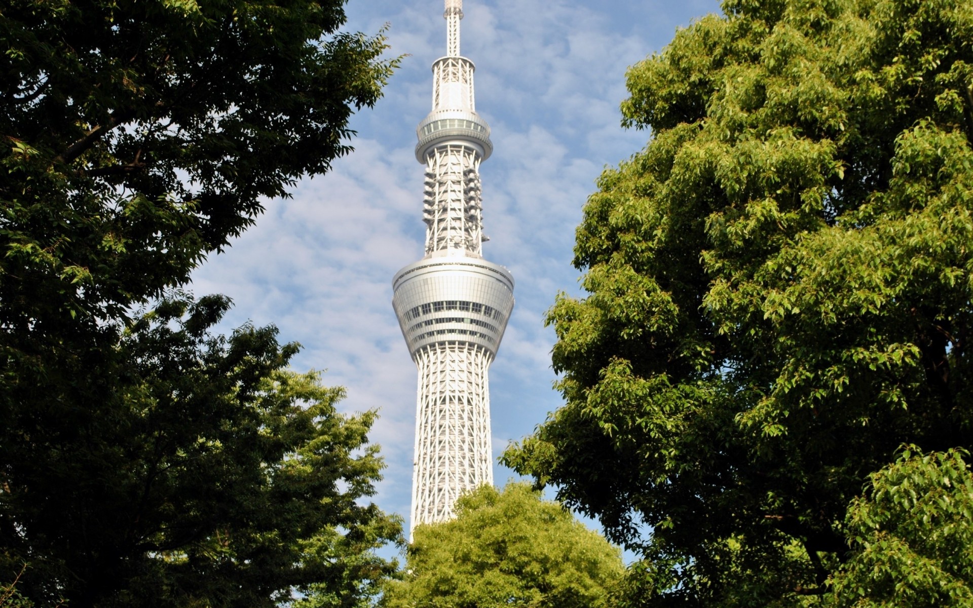 stacja drzewa tokio niebo japonia wieża