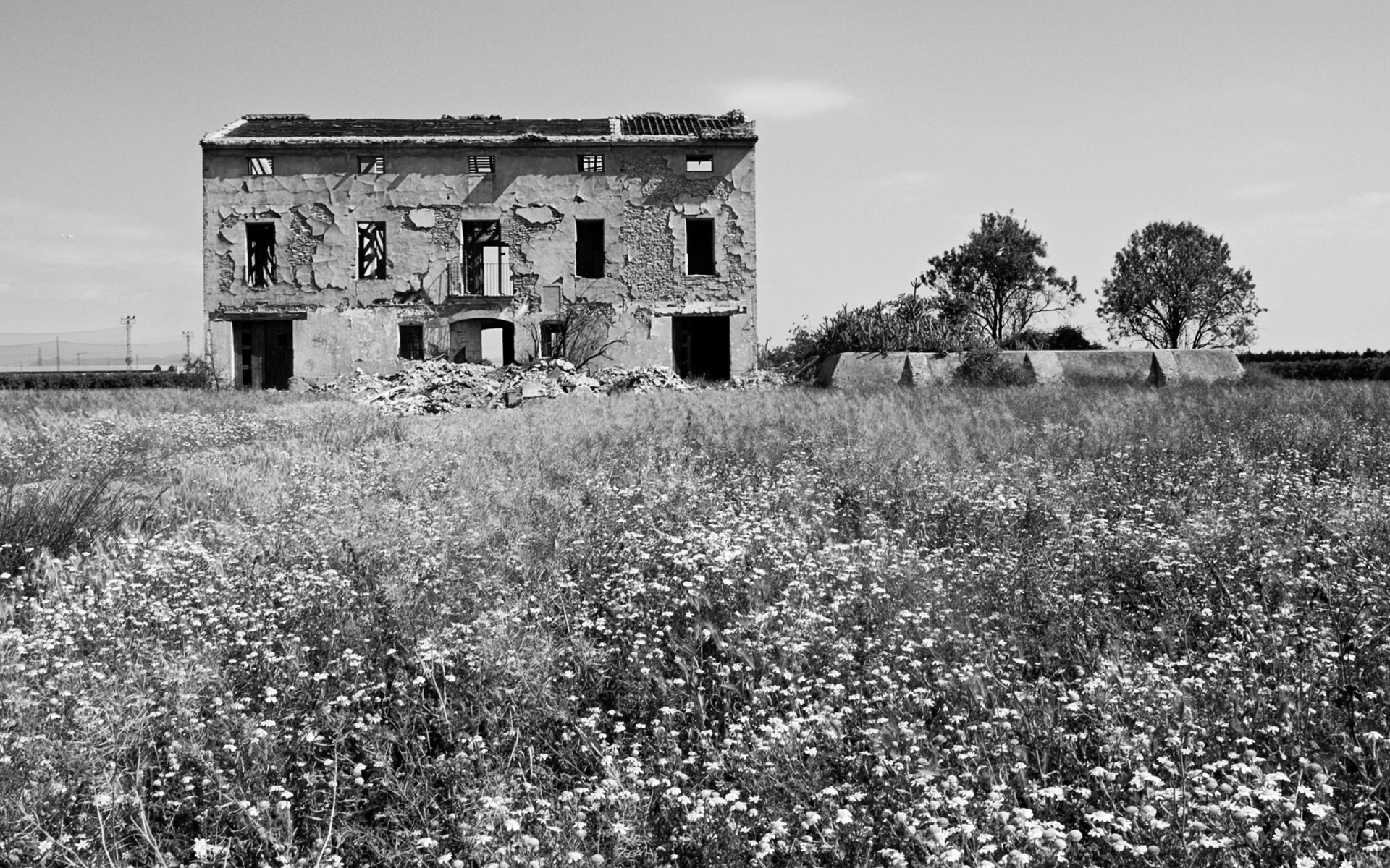 black and white house