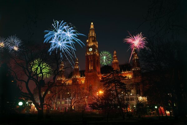 Gorgeous multicolored fireworks in Vienna