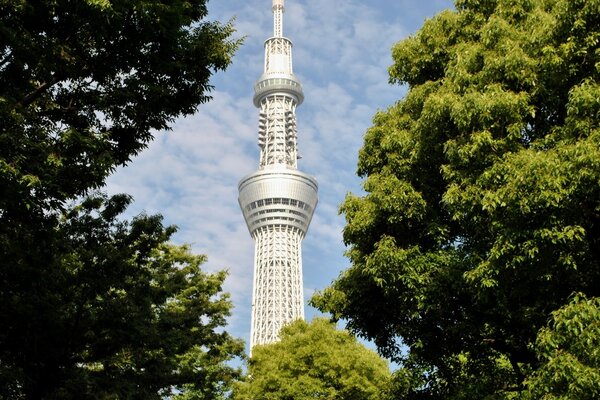 Japanese tower among the trees