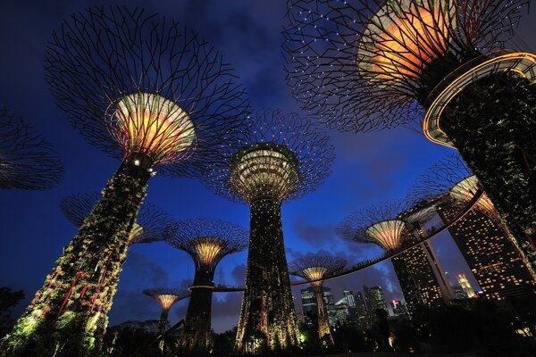 Singapore-il mio sogno di vedere tutto dal vivo