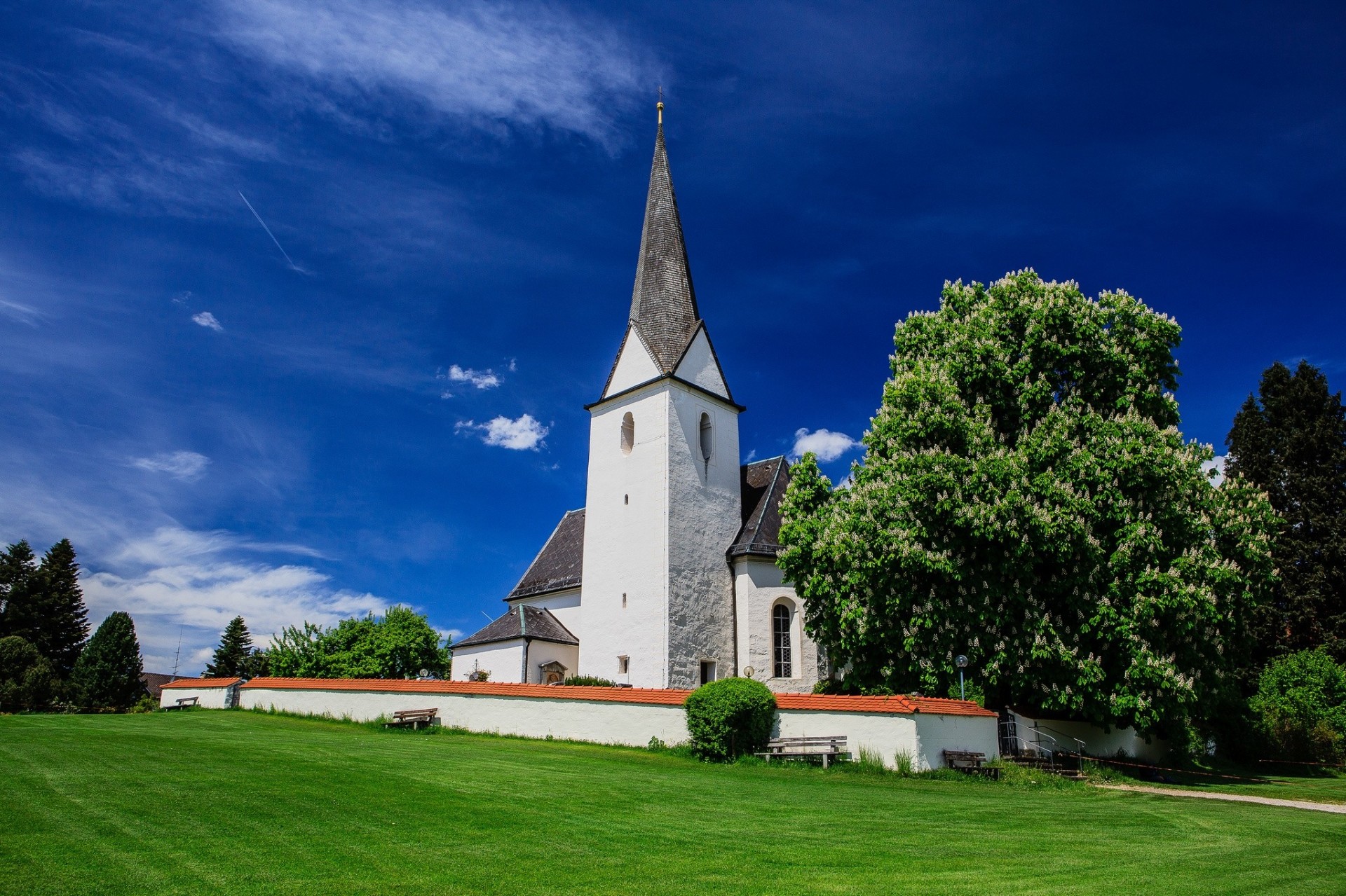 chiesa alberi baviera germania castagno riparazione prato