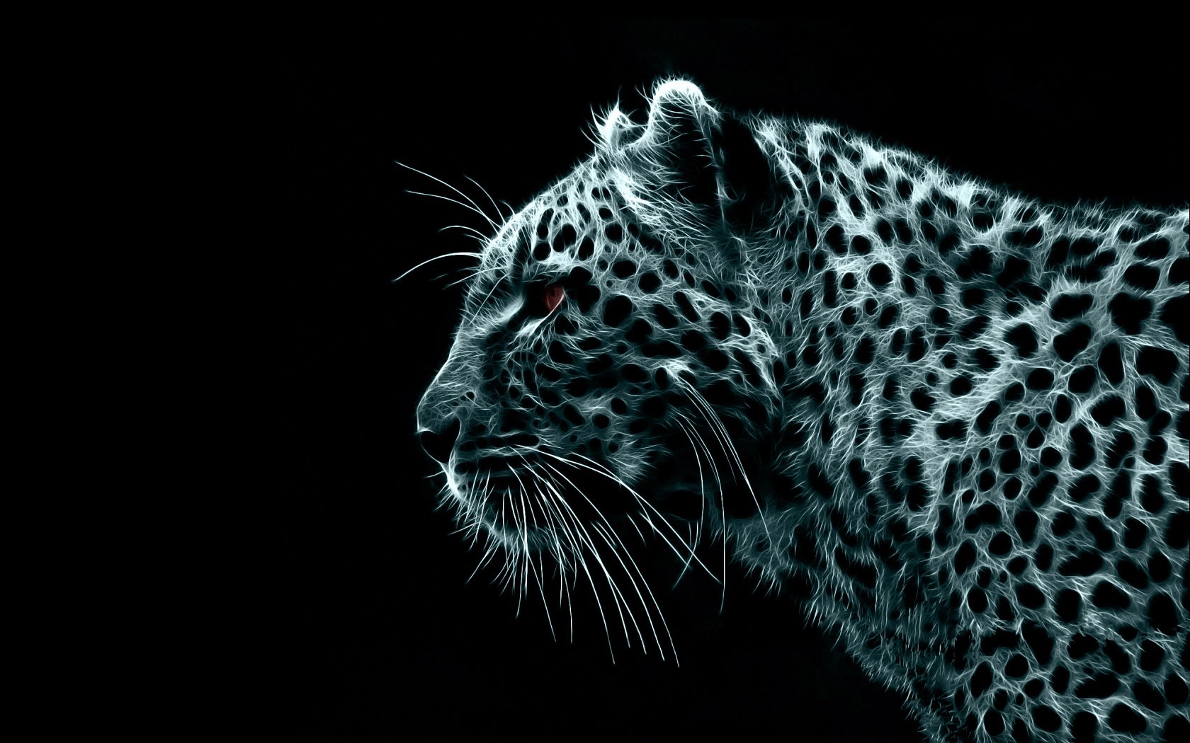 leopardo nero elaborazione