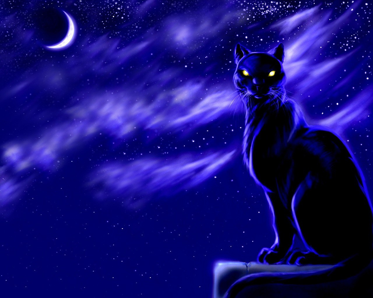 dibujo noche luna gato