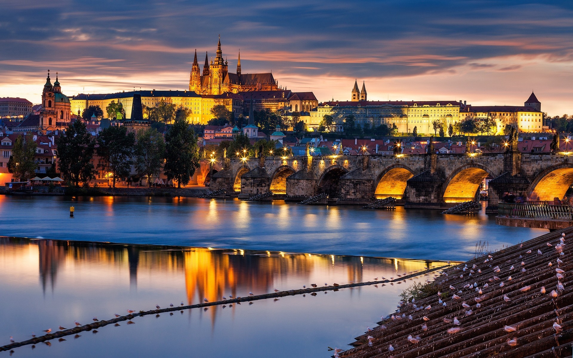 moldau fluss brücke stadt tschechische republik tschechisch prag