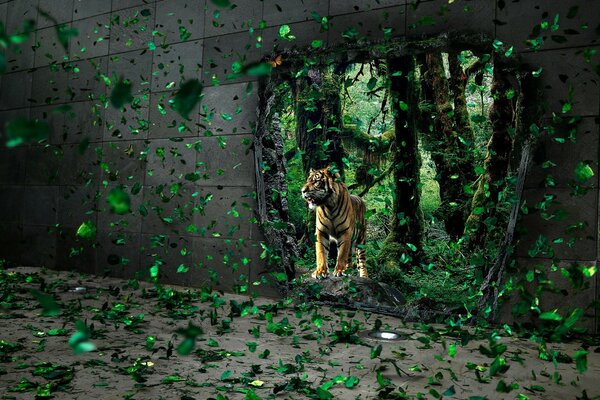 Tigre mirando desde un agujero en la pared con hojas voladoras