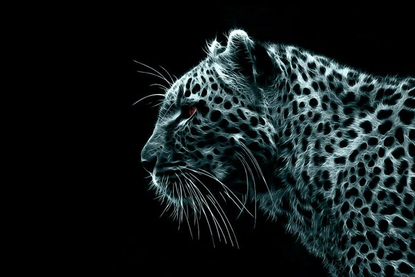 Black processed leopard on a black background