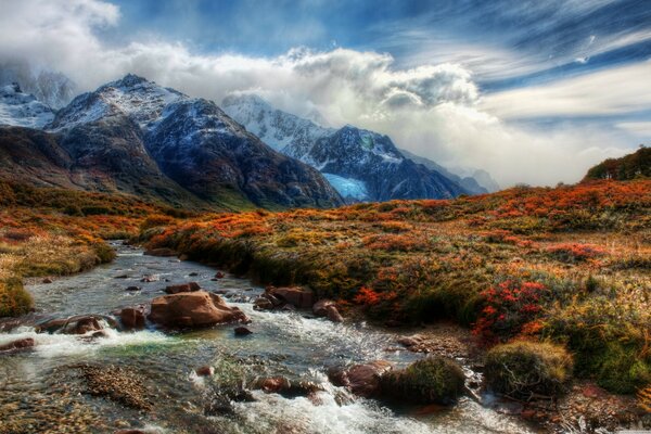 Le nuvole scendono sulle montagne. Paesaggio con fiori di montagna e fiume