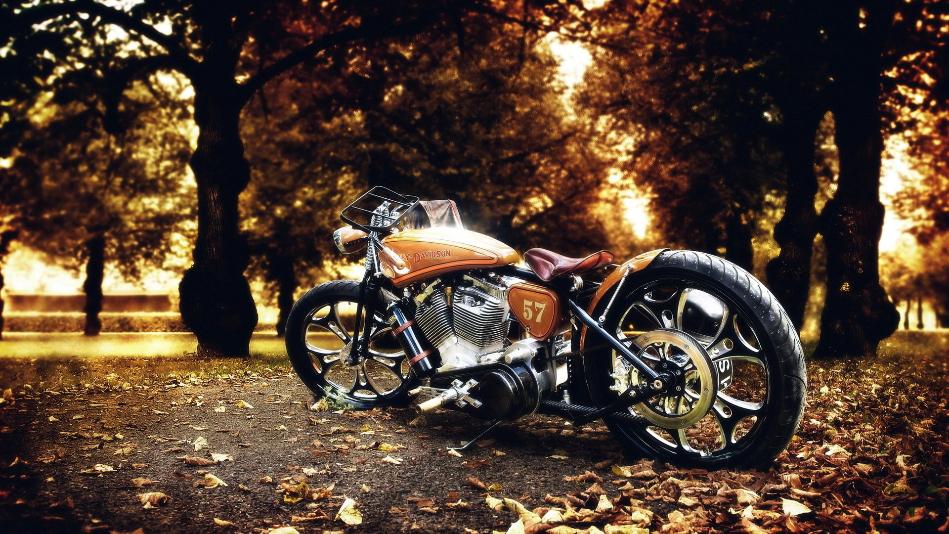 harley davidson rower natura jesień zdjęcie park liście drzewa