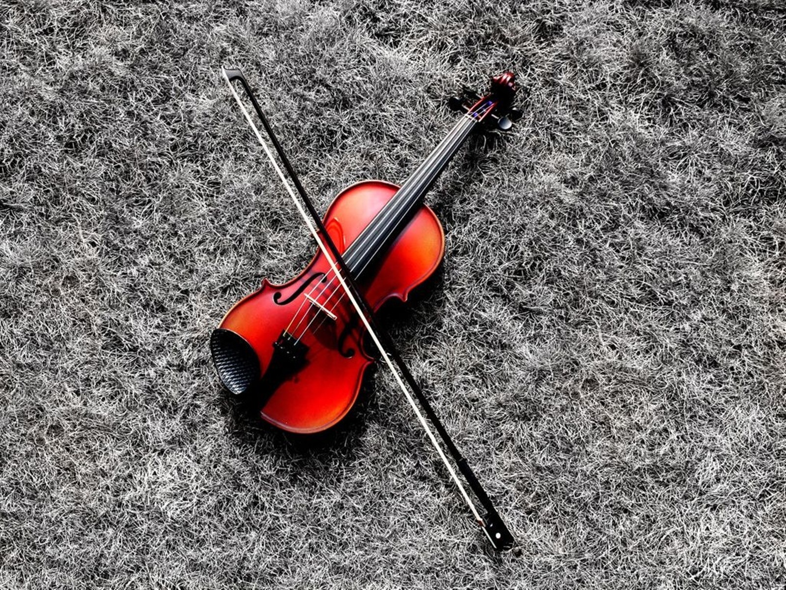 violín rojo hierba