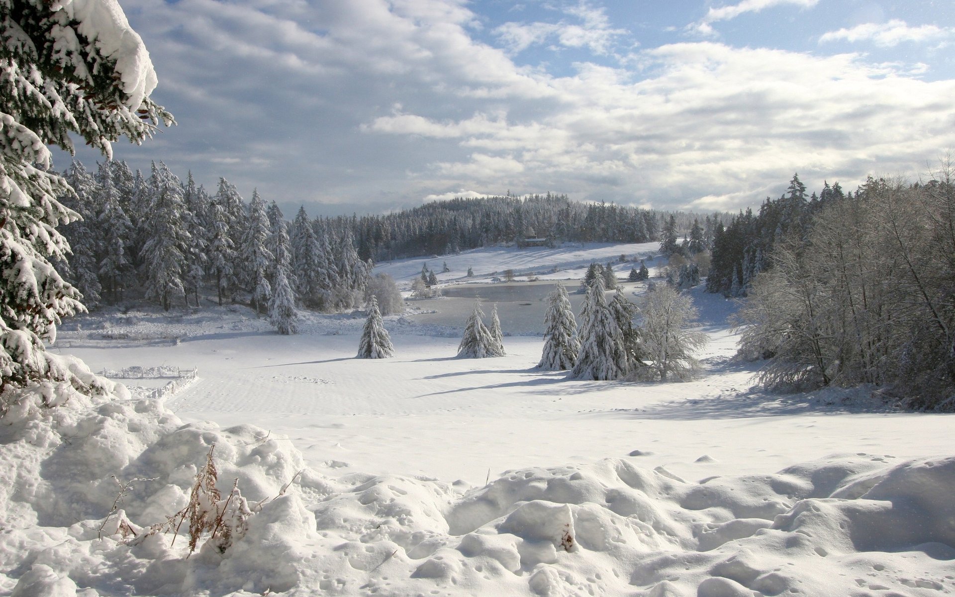 pieno inverno cumuli di neve bordo della foresta foresta neve inverno montagne