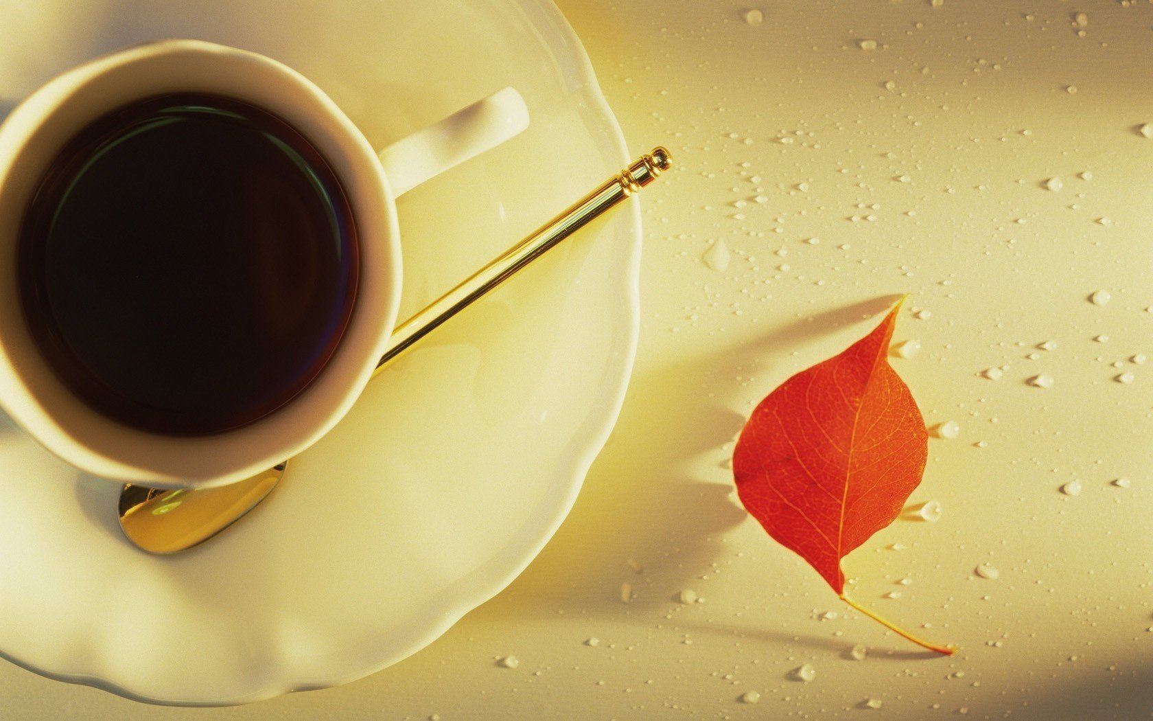 rotes blatt früher morgen essen kaffee espresso tasse tropfen komposition tasse kaffee tasse tee getränke