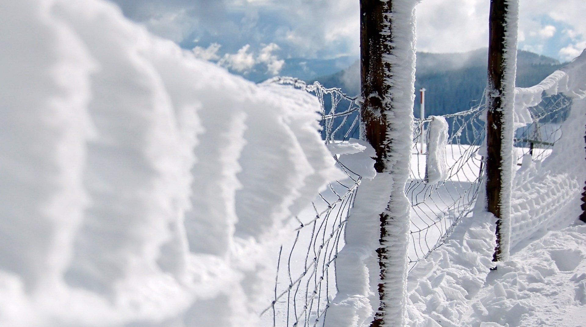 cerca de la nieve en las nieves belle montañas postes nieve invierno cerca limpieza frío escarcha dal malla niebla nubes cielo