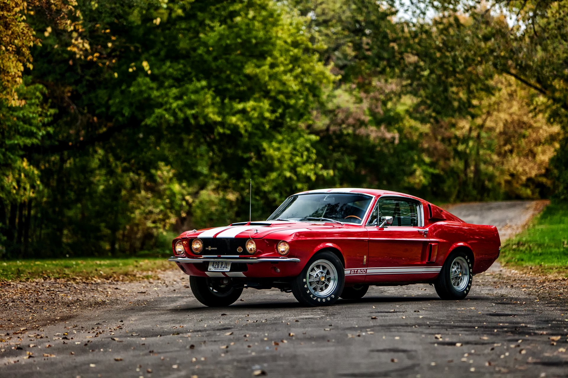 1967 ford shelby gt500 avec lemans bande variante