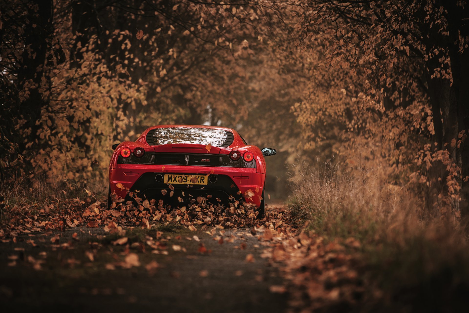 430 scuderia hojas otoño