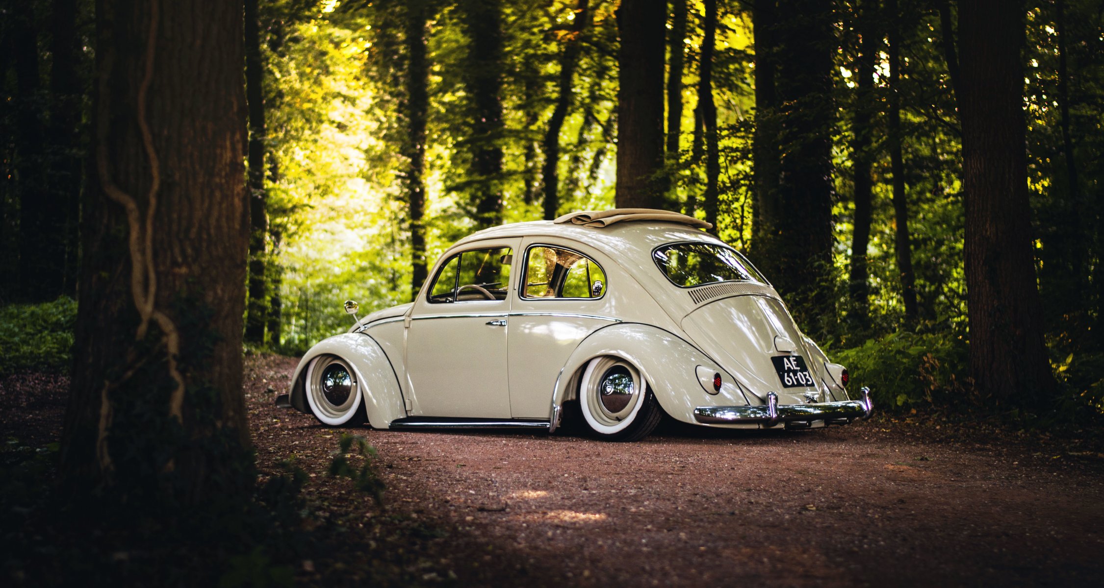 volkswagen beetle sunroof wheels rear trees road forest sunshine