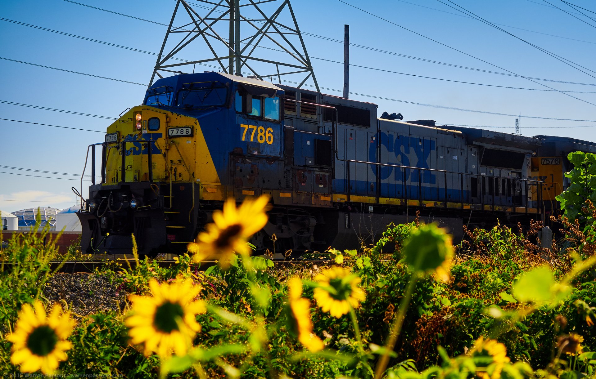 treno ferrovia locomotiva rotaie girasoli natura