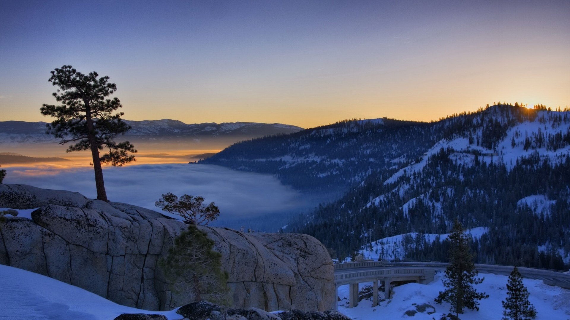 arbre sur la roche montagne au loin paysage coucher de soleil neige montagne hiver pin pont