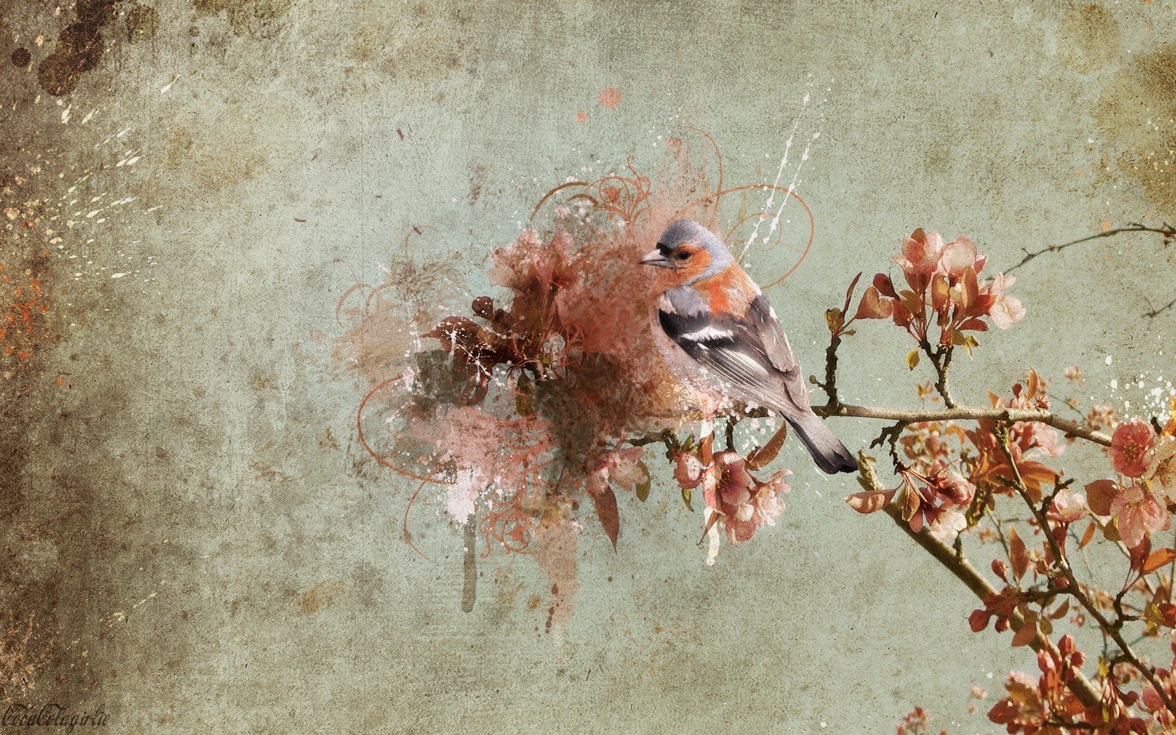 bird on a branch treatment background wall animals birds spring