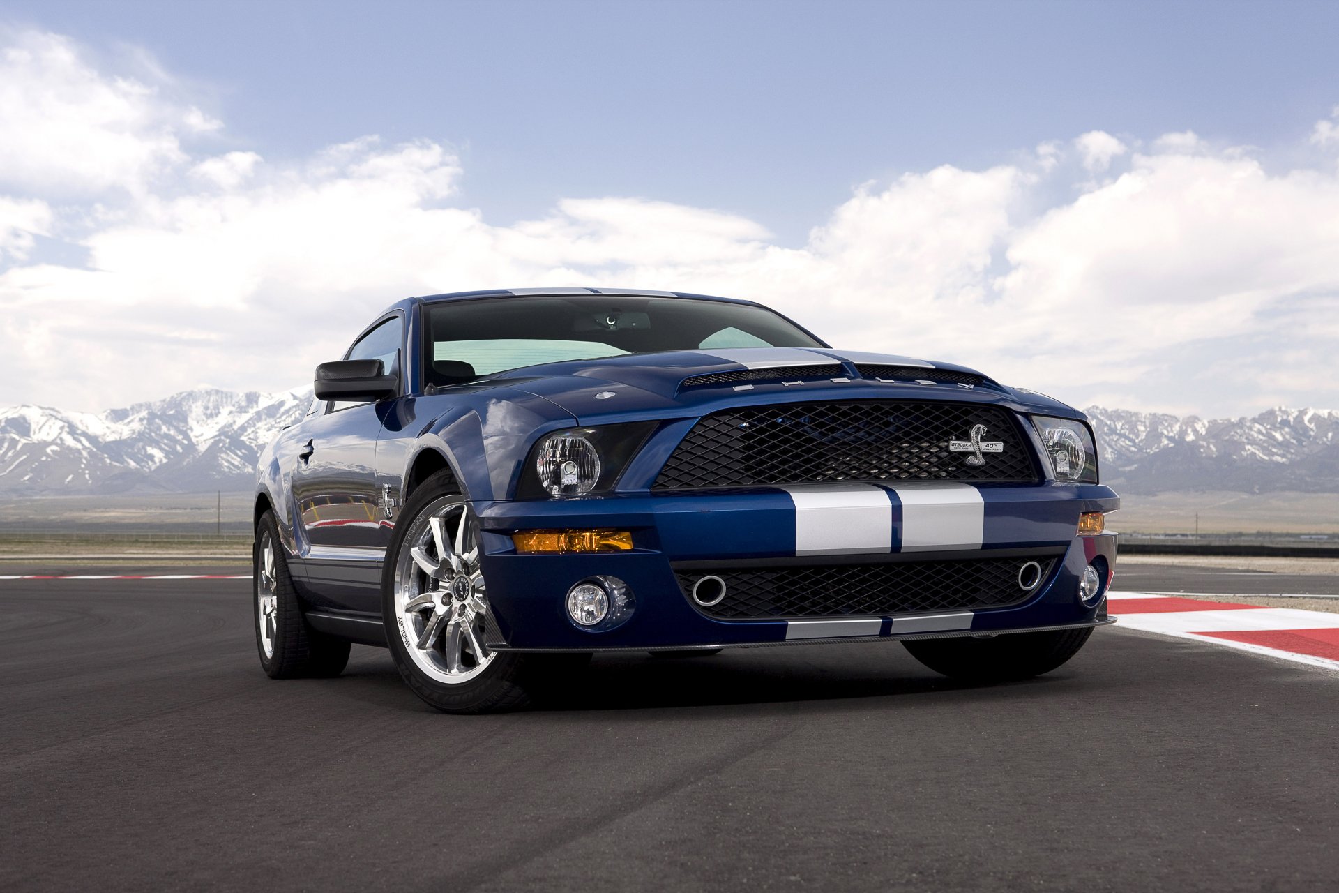 2008 shelby gt500 cr 40 ° anniversario ford mustang