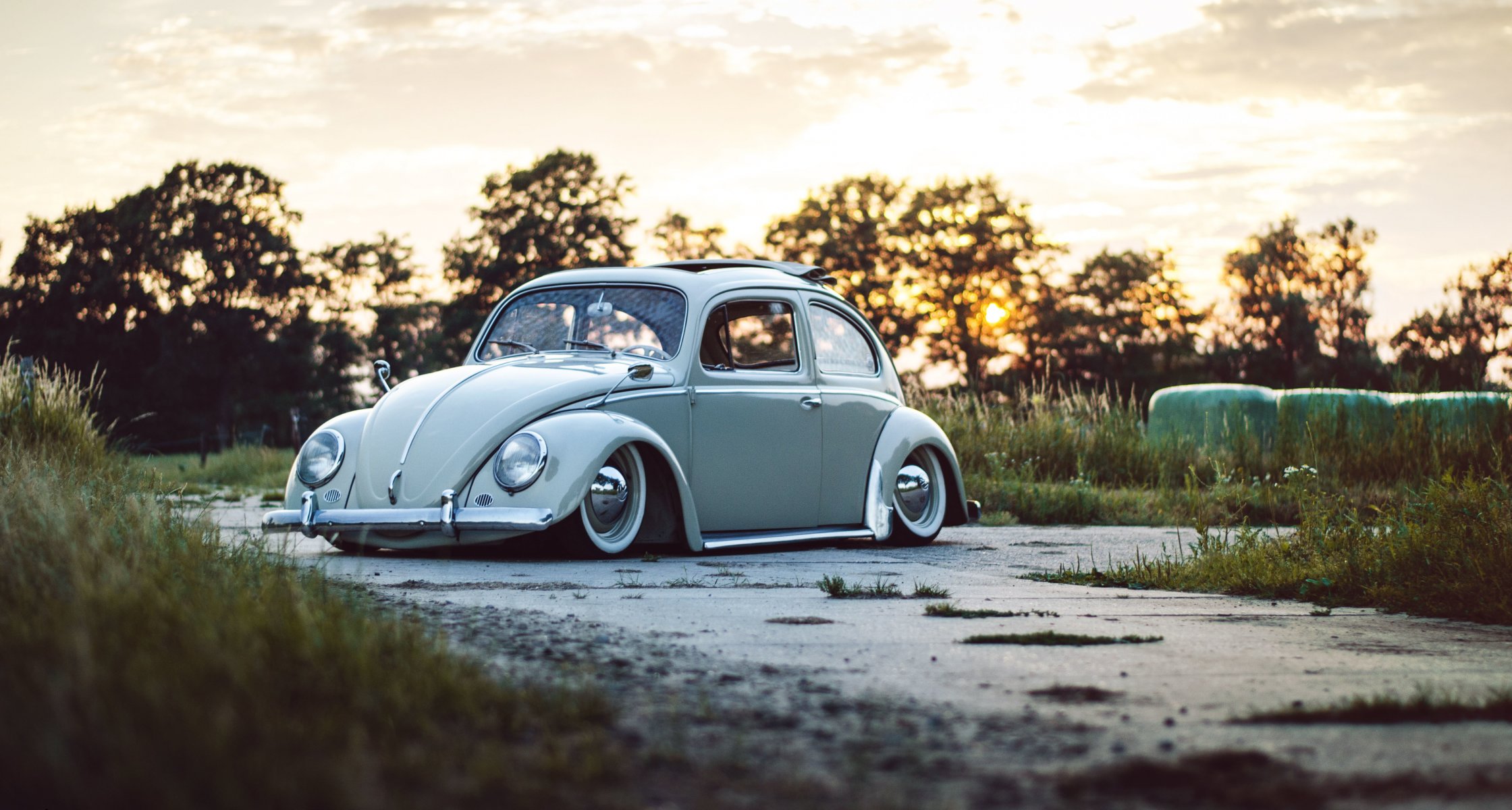 volkswagen beetle sunroof wheel road tree sky sunset