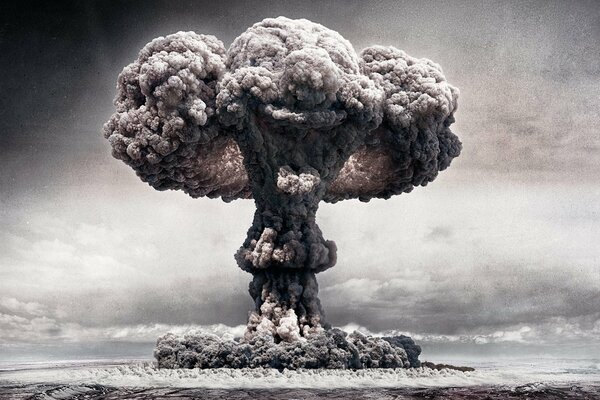 Photo of a nuclear explosion fungus