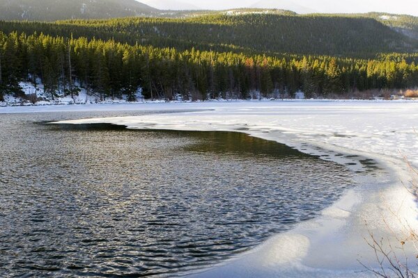 Ice edge on the lake in the forest