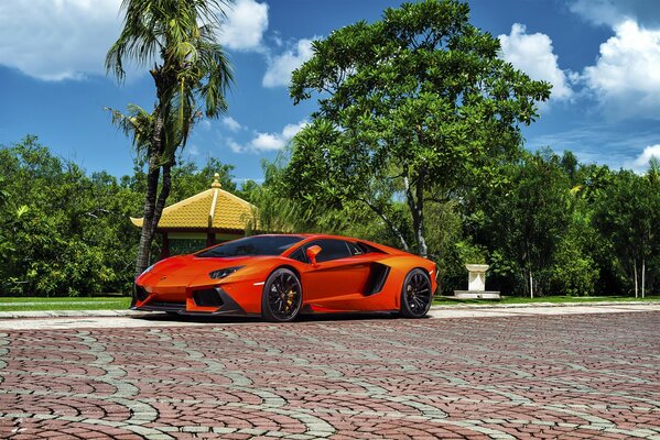 Bright orange lamborghini supercar on the background of an exotic landscape