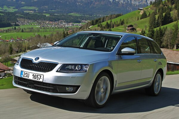 Silberner Skoda auf dem Hintergrund der grünen Berge