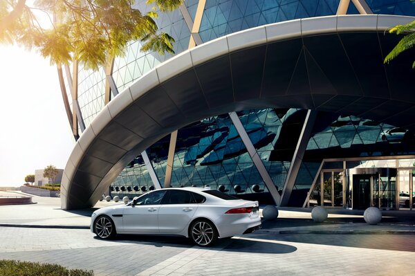 White jaguar on the background of a modern building