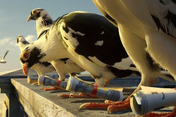 The queue for food on the roof of the house