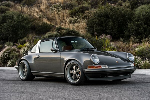 Black Porsche 911 on the background of nature