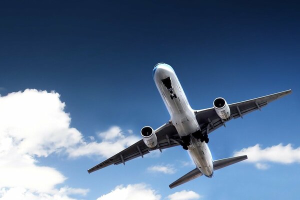 Avión en el cielo entre las nubes