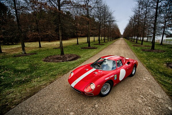 Red Ferrari 250 lm among the trees