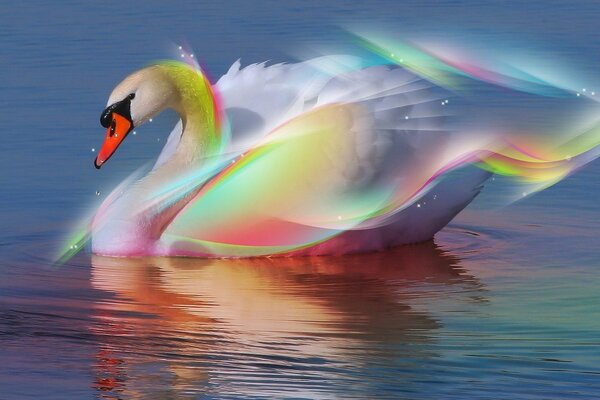 Reflejo de la abstracción del cisne en el agua