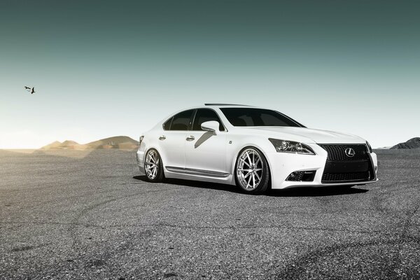 Lexus gs con una enorme rejilla