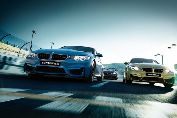 Beautiful photo of two BMW cars on the road