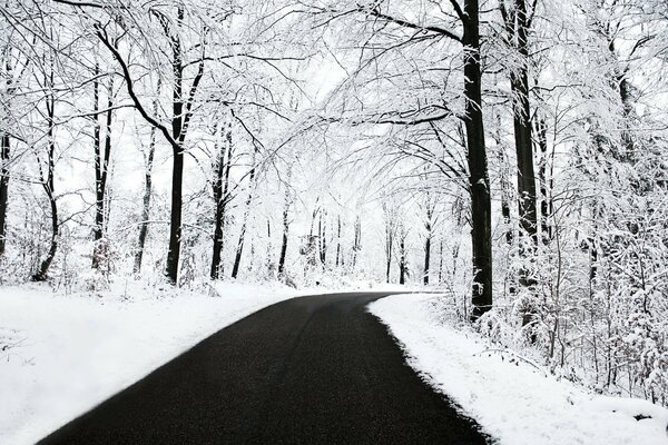 Carretera de invierno con asfalto limpio