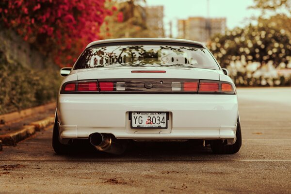 White Nissan on the background of red flowers and the city