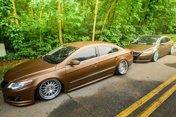 2 brown Volkswagen cars driving on the outskirts of the forest