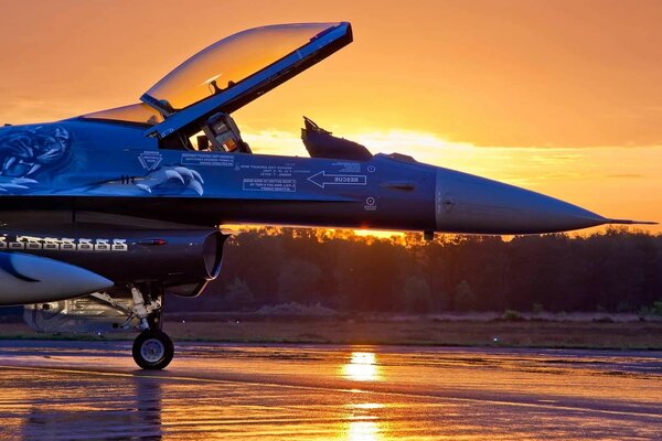 Combattant sur fond de coucher de soleil