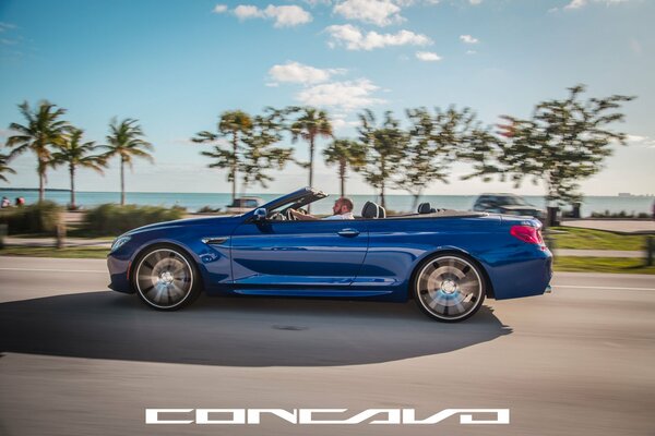 Blue car on concavo beaches