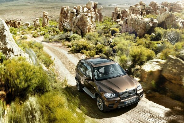 Überwinden Sie den Offroad-BMW x5 mit hoher Geschwindigkeit