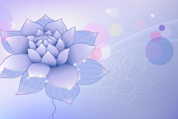 Lilac lotus on a delicate background