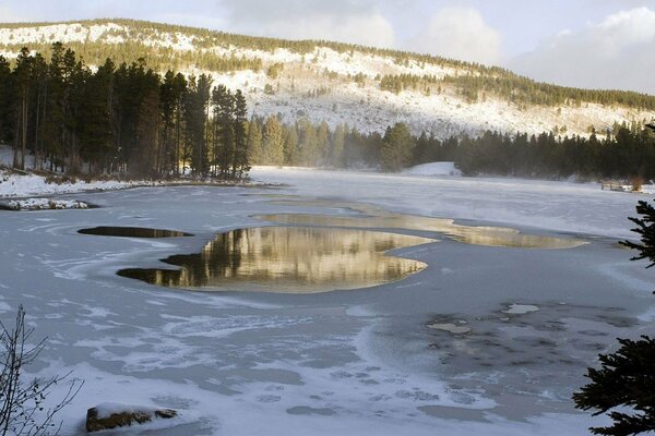 Ajenjo en el fondo del bosque cubierto de nieve y la montaña