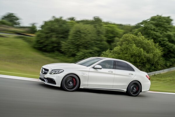 A white Mercedes is driving along a road with trees growing next to it